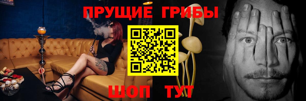 Псилоцибиновые грибы Psilocybine cubensis Старая Купавна